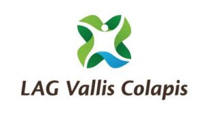 lag-vallis-colapis-logo