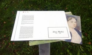 nocknjige-vlak2016 006